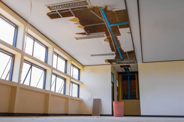 Best Local water damage restoration  in Long Lake, MN
