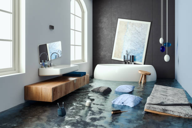 Best Flooded house restoration  in Long Lake, MN