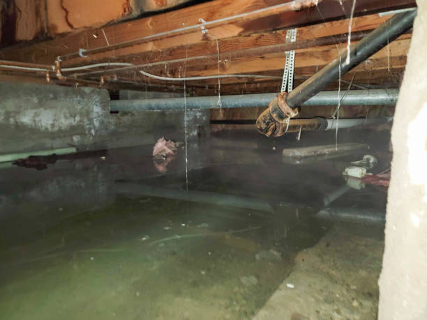 Best Ceiling water damage repair  in Long Lake, MN