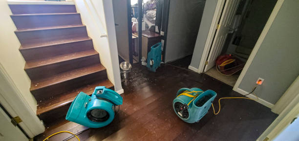 Best Flood damage cleanup  in Long Lake, MN