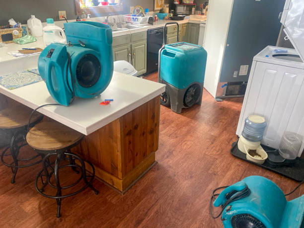 Best Commercial water damage restoration  in Long Lake, MN