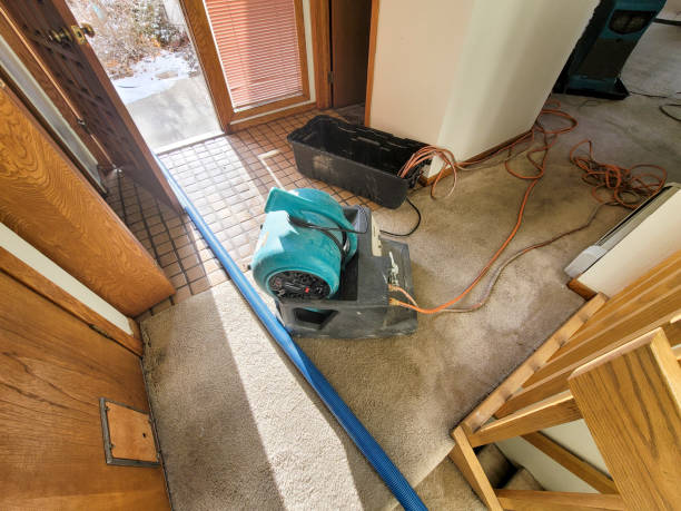 Best Flood restoration services  in Long Lake, MN