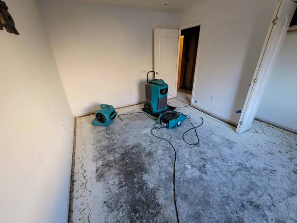 Best Carpet water damage restoration  in Long Lake, MN