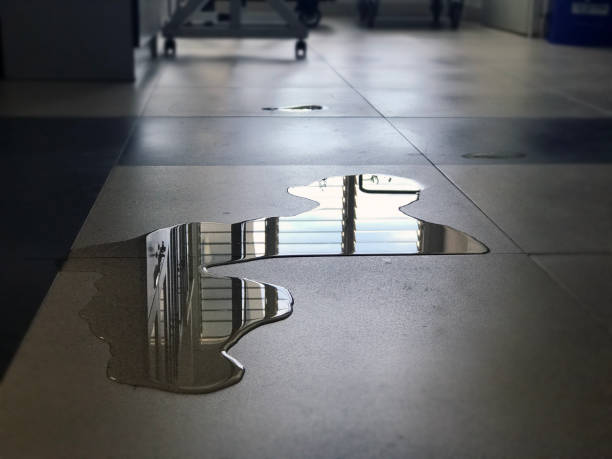 Best Water damage contractors near me  in Long Lake, MN