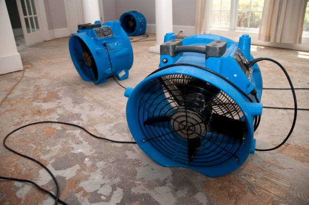 Best Water damage cleanup near me  in Long Lake, MN