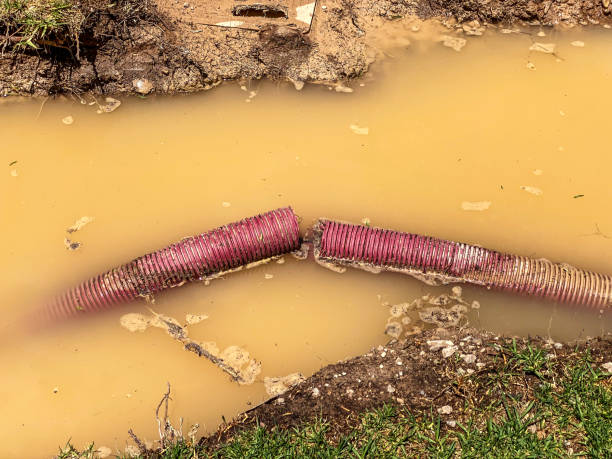 Best Sewage cleanup and water damage restoration  in Long Lake, MN