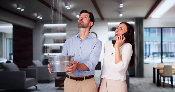 Best 24/7 water damage repair  in Long Lake, MN