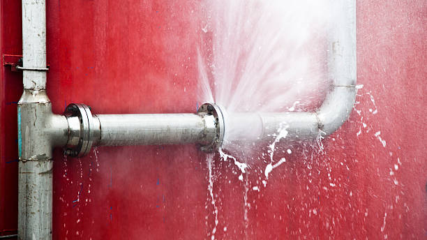 Best Basement water damage restoration  in Long Lake, MN