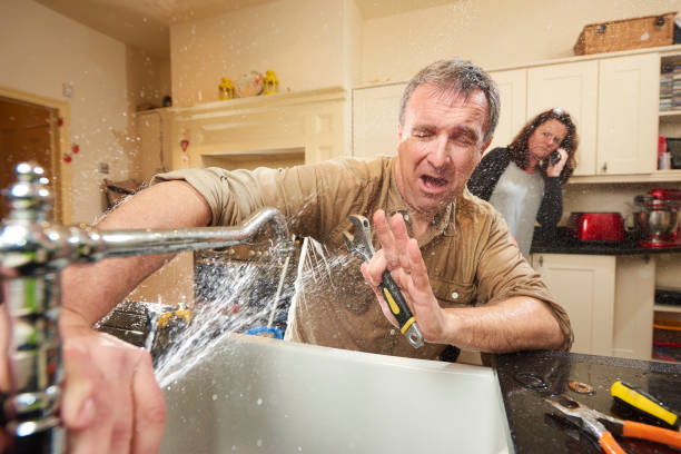 Best Water damage restoration near me  in Long Lake, MN